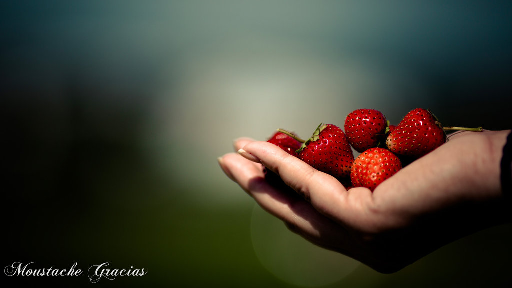 Strawberry Fields Forever